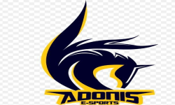 Логотип AdoNis