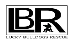 Логотип Lucky Bulldogs