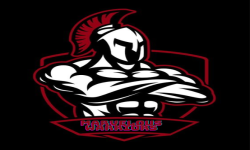 Логотип Marvelous Warriors