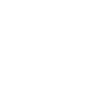 Логотип Shopify Rebellion