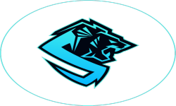 Логотип South Team