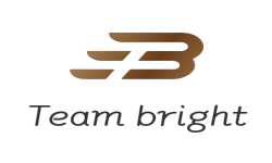 Логотип Team Bright