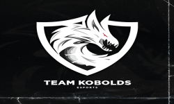 Логотип Team Kobolds