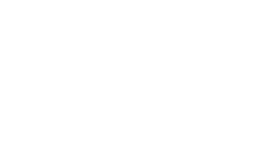 Логотип Team Spirit