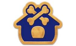 Логотип BUDKA