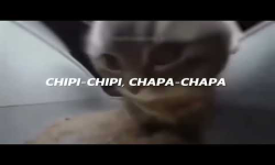 Логотип ChipiChapa