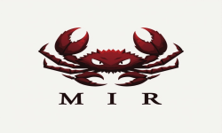 Логотип MIR