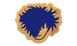 Логотип TEAM ROSTIK