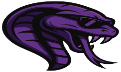 Логотип Team Cobra