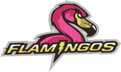 Логотип Team Flamingos