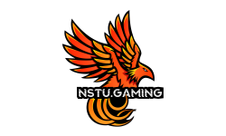 Логотип nstu gaming